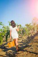 Beautiful Woman Strolling with a Glass of Wine in The Vineyard