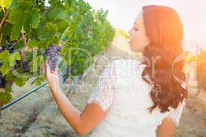 Beautiful Young Adult Woman Admiring Grapes Walking in the Vineyard