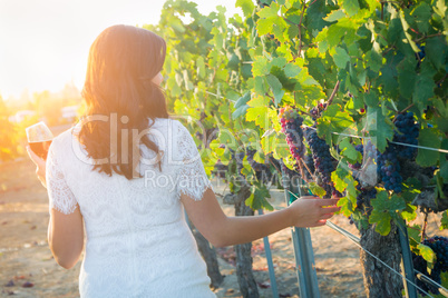 Young Adult Woman with Glass of Wine Tasting Walking in The Vineyard