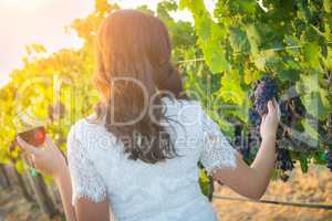 Young Adult Woman Enjoying Glass of Wine Walking In The Vineyard