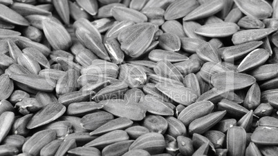 many of sunflower seeds