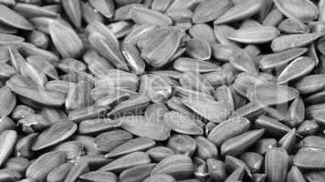 many of sunflower seeds