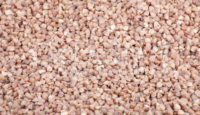 buckwheat background