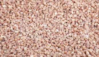 buckwheat background