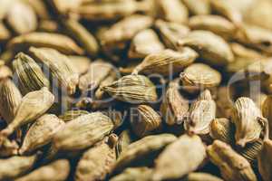 Green Cardamom Pods Macro.