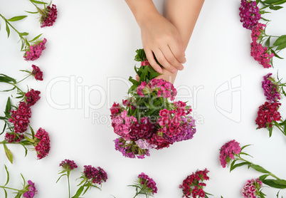 two female hands with light smooth skin and buds of a blossoming