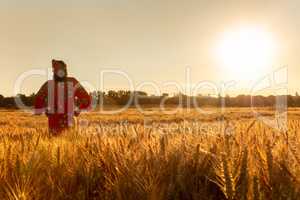 African woman in traditional clothes walking in a field of crops