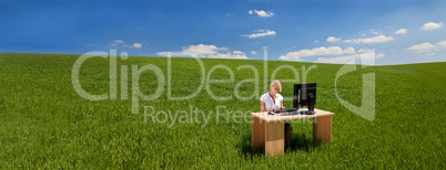 Panorama Businesswoman Using Computer at a Desk In Green Field B