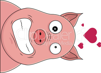 Head of pig looking hysterical with hearts over head.