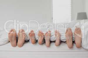 Family feet under blanket in bed in bedroom