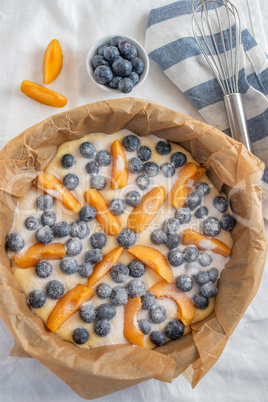 Heidelbeer Aprikosen Kuchen