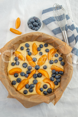 Heidelbeer Aprikosen Kuchen