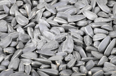 many of sunflower seeds