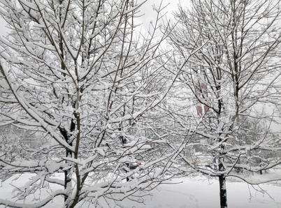 city park after snowfall at day