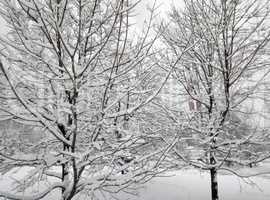 city park after snowfall at day