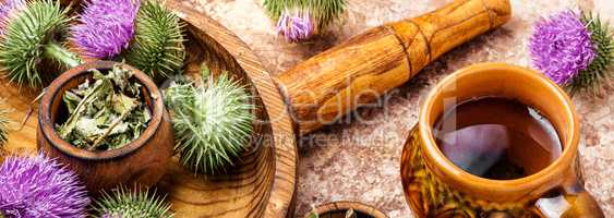 Milk thistle with flowers