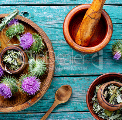 Herbal medicine and homeopathy