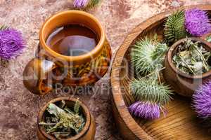 Milk thistle with flowers