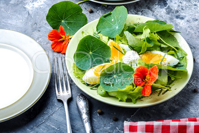 Summer nasturtium salad