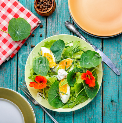 Summer nasturtium salad