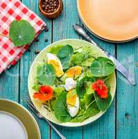 Summer nasturtium salad