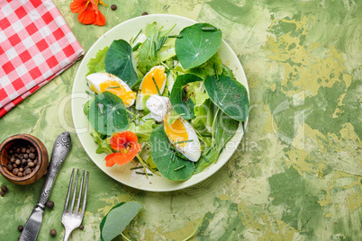 Summer nasturtium salad