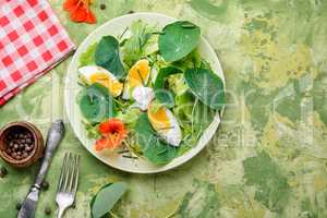 Summer nasturtium salad