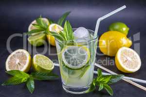 Cold refreshing summer lemonade with mint in a glass