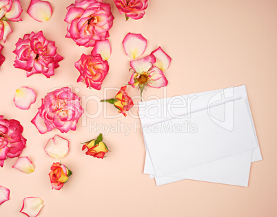 yellow rose buds and a white paper envelope on a peach backgroun