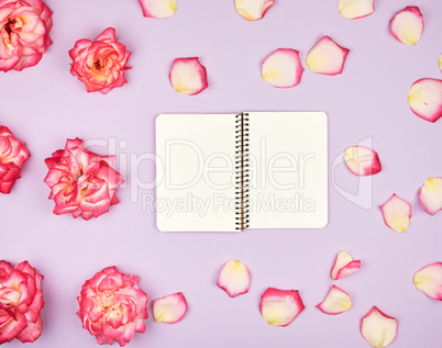 open notebook with white blank pages on a purple background