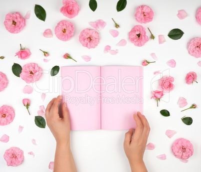 two female hands holding open notepad with clean pink sheets