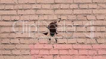 red brick wall background  with black hole