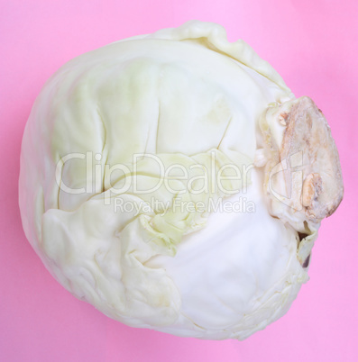 Head of White Cabbage on Pink Background