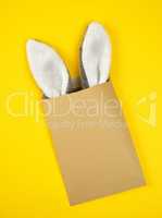 brown craft envelope with protruding bunny ears out of it