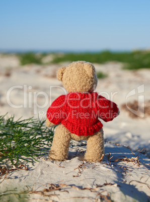 brown teddy bear in a red sweater stands on the sandy seashore a
