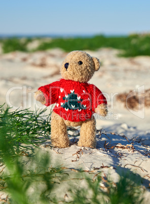 brown teddy bear in a red sweater stands on the sandy seashore a