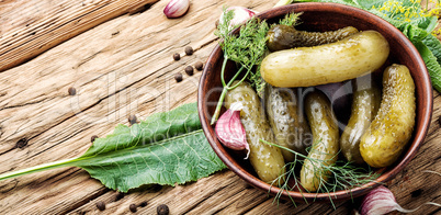 Homemade Pickles On Wooden Table