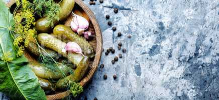 Marinated cucumbers gherkins