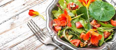 Salad with flowers of nasturtium