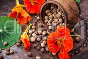 Seeds,and flowers of nasturtium