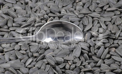 sunflower seeds background and teaspoon