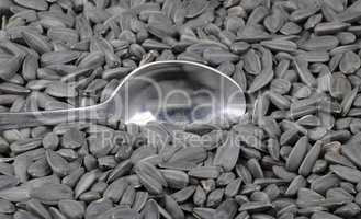 sunflower seeds background and teaspoon