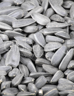 many of sunflower seeds