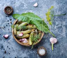 Marinated cucumbers gherkins