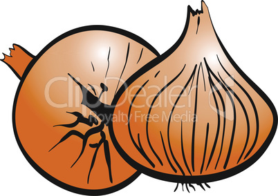 Two ripe onions