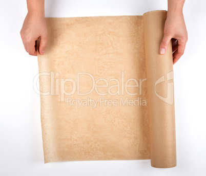 roll of brown parchment paper for baking food in female hands