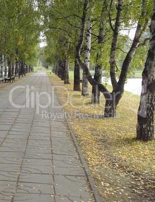 city park in autumn