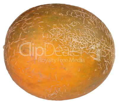 melon isolated on white background melon isolated on white background