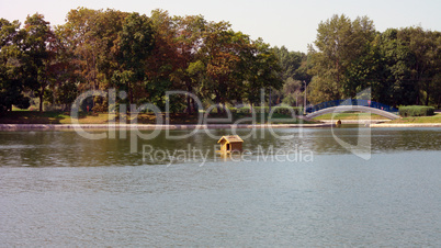 summer in city park