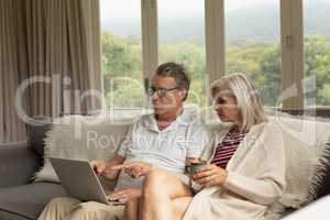 Active senior couple discussing over laptop on sofa in a comfortable home